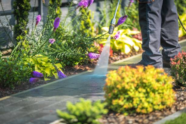 Best Patio and Deck Pressure Washing  in Barnum Island, NY